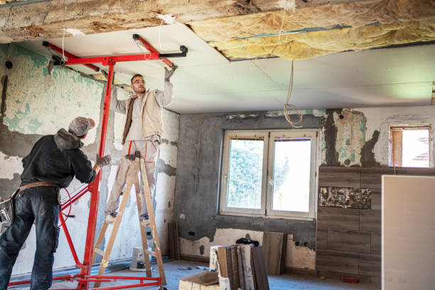 Best Insulation Installation Services in Old Jamestown, MO
